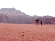 Wadi Rum WadiRum Jordan VisitJordan Camels Sand Bedouin Tea Camp Hike Mountain Blog TravelBlog Sand Feet Camel