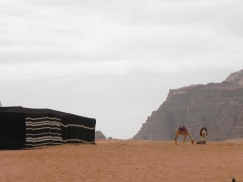Wadi Rum WadiRum Jordan VisitJordan Camels Sand Bedouin Tea Camp Hike Mountain Blog TravelBlog Tent