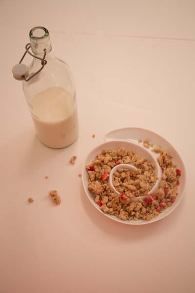 crunchy oats and raspberry with milk