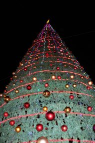 Christmas Tree and holiday in Amman Jordan beautiful in Fuheis near by amman in jordan