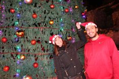 Christmas Tree and holiday in Amman Jordan beautiful in Fuheis near by amman in jordan