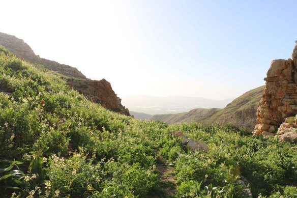 Mountain-of-Wadi-El-Rayan-Ajloun-Jordan-9