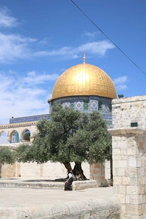 The golden dome mosque of Jerusalem مسجد قبة الصخر في القدس