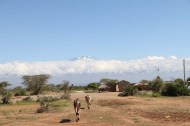 Nature, African, Tanzanian, Moshi, Tanzania, Kilimanjaro